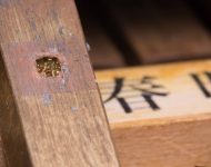 活字の母型（字母）