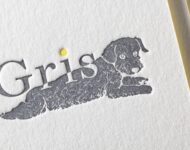 イラスト_活版印刷_名刺