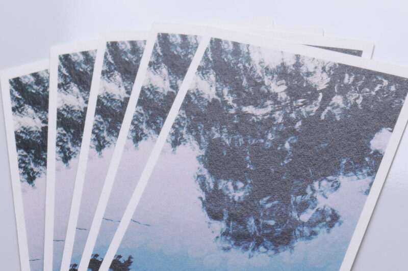 フルカラー_スノーブル