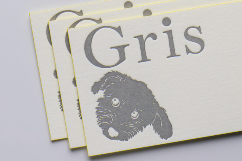 イラスト_活版印刷名刺